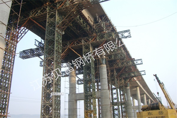 定制化貝雷片解決方案